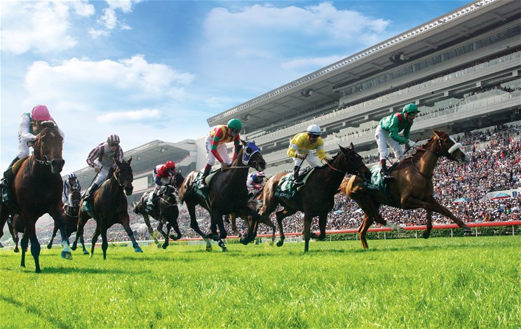 Horse Racing