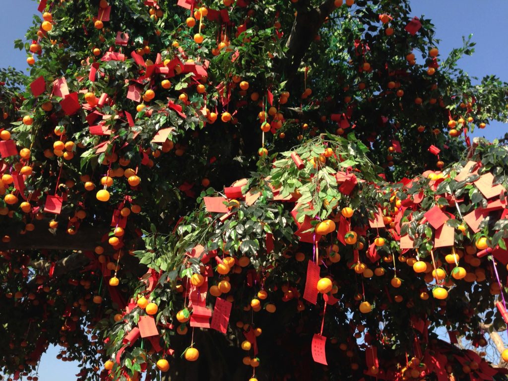 Lam Tsuen Well Wishing Tree