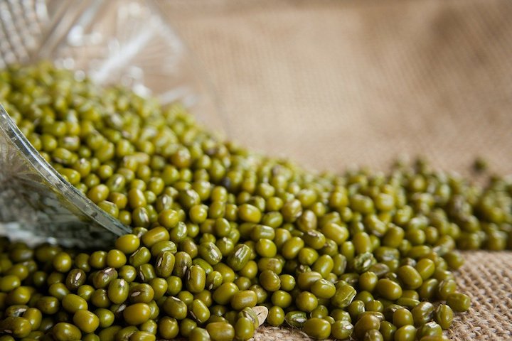 mung beans eat summer