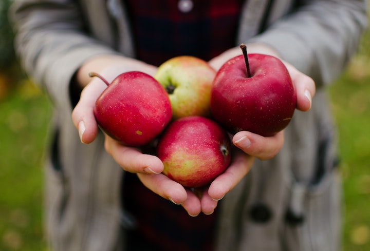 apples traditional chinese medicine eat fall autumn