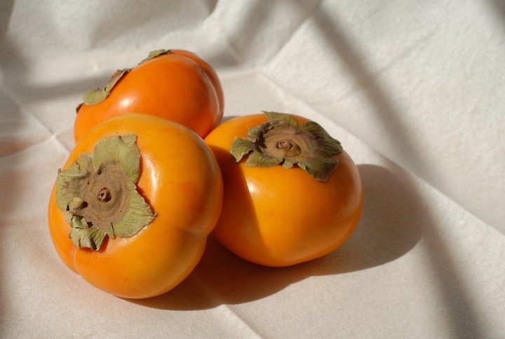 persimmon traditional chinese medicine eat fall