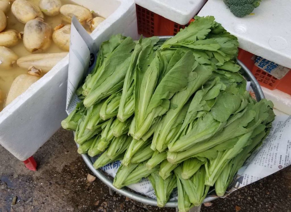 crown daisy chrysanthemum greens tong ho foods to eat in winter