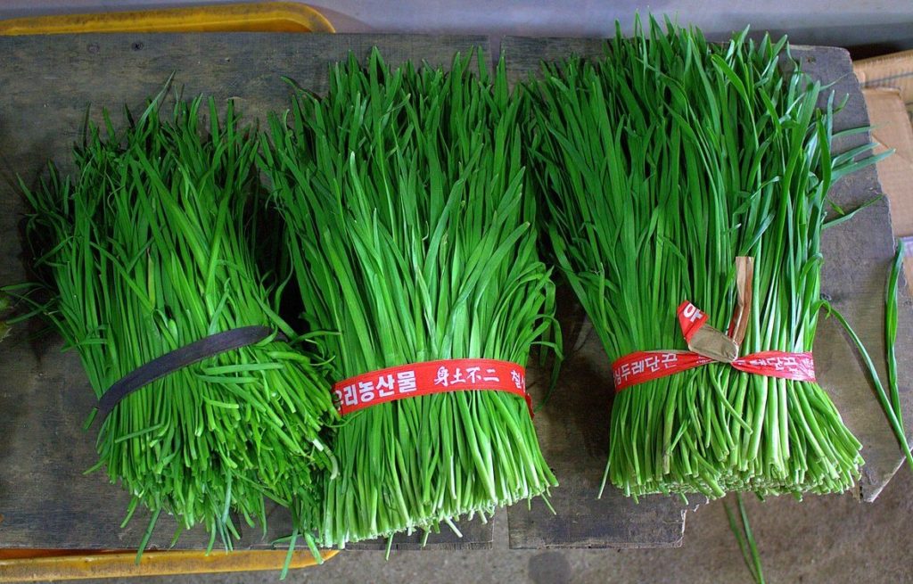 garlic chives traditional chinese medicine spring