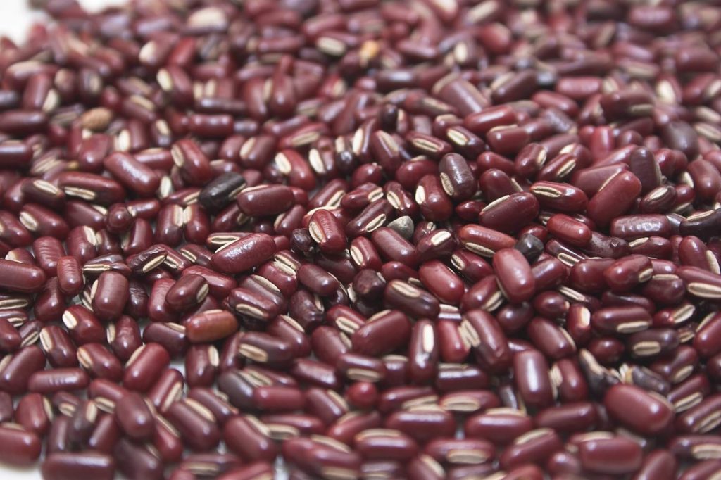 rice bean ricebean traditional chinese medicine spring